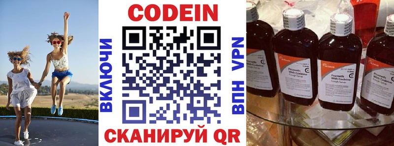 купить закладку  Николаевск-на-Амуре  Кодеин Purple Drank 