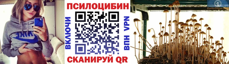 Галлюциногенные грибы GOLDEN TEACHER  kraken онион  Николаевск-на-Амуре 